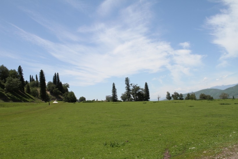 The sheep are staying on the Narati grassland