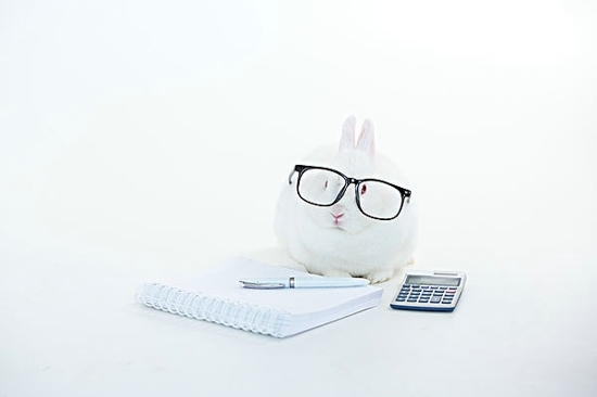 Cute rabbit WeChat background image