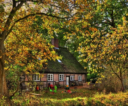 Quiet atmosphere, green, fresh and beautiful scenery picture