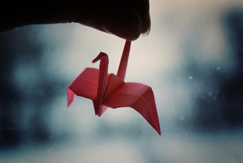 Picture of Thousand Paper Cranes Missing