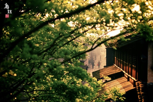 Picture of the tranquil and ancient scenery of Wuzhen