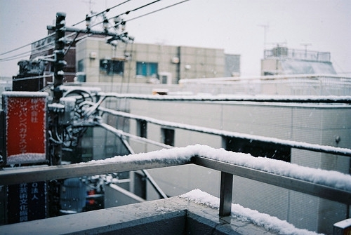 小清新图片-冬天来啦  唯美清新雪景图片(3)