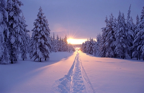 Winter is here, beautiful and fresh snow scenery pictures