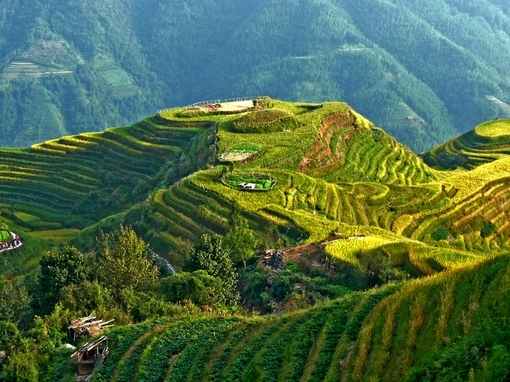 小清新图片-农村的靓丽风景线 梯田图片美景(6)