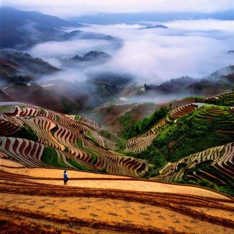 Beautiful Scenery of Countryside Terraced Fields