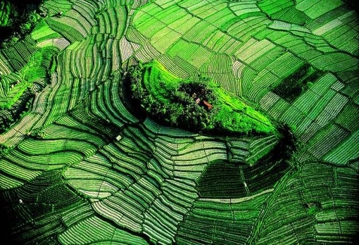 Beautiful Scenery of Countryside Terraced Fields