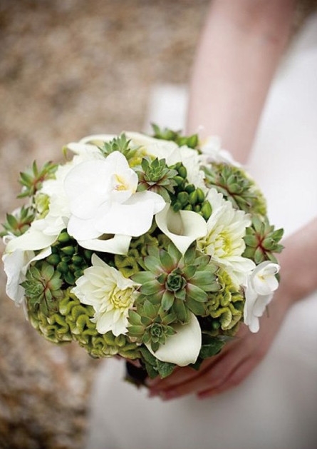 The succulent plant bouquet is too beautiful