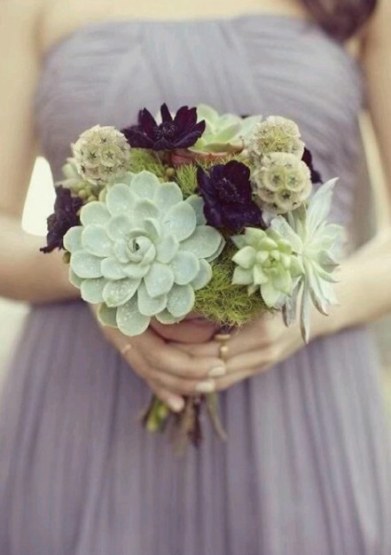 The succulent plant bouquet is too beautiful