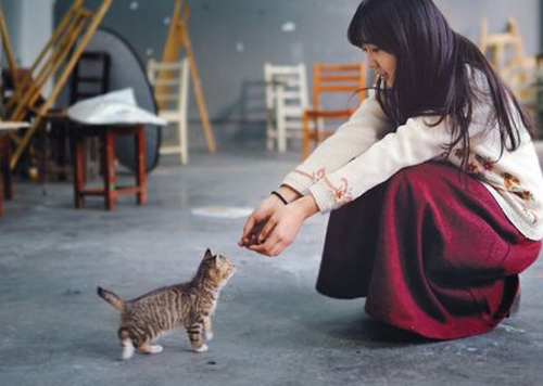 Beautiful pictures of noble and lazy noblewomen and cats