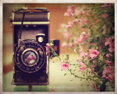 Beautiful camera images with a beautiful artistic conception