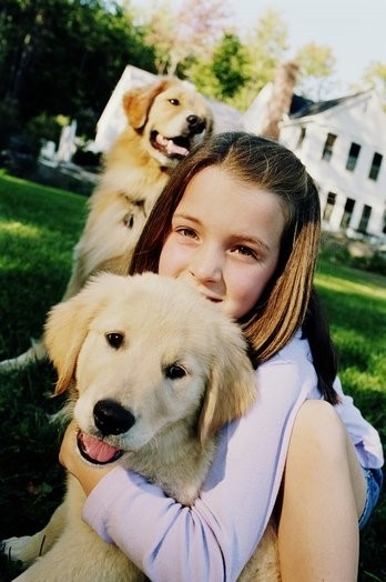 My friend's golden haired dog grew up with her for many years