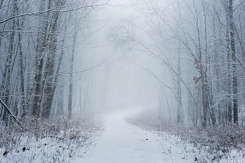 A beautiful and fresh snow scene in a city with heavy snowfall