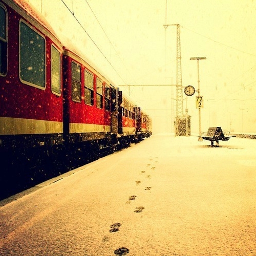 A beautiful and fresh snow scene in a city with heavy snowfall