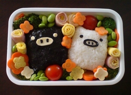 The most beautiful bento picture of the encounter in this life