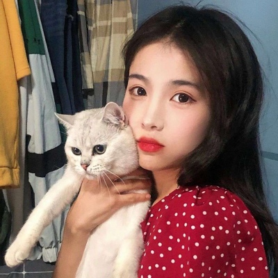 Girls holding cute and beautiful cat avatars, you are the only exception with a preference