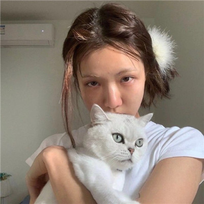 女生头像-一组抱着猫的2021高颜值女生头像 你也要做一个很哇塞的女孩(5)