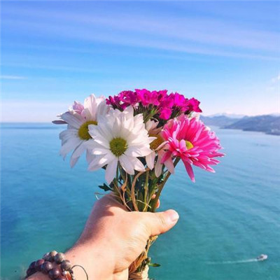 Hello December, Scenery Avatar Collection with Fresh Flowers and Plants 2021 on WeChat for Good Luck