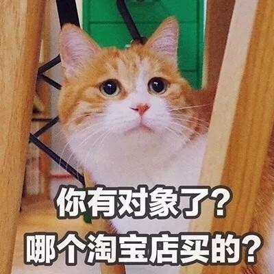 带字头像-最特别搞笑的猫咪头像带文字 百口难辩的时候才懂得人言可畏(11)