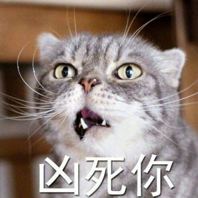 Cute and domineering animal avatar. A cat with a temper is super fierce but very fun. The cat avatar has characters on it