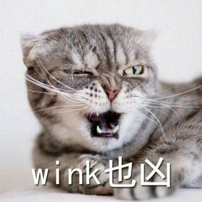 Cute and domineering animal avatar. A cat with a temper is super fierce but very fun. The cat avatar has characters on it