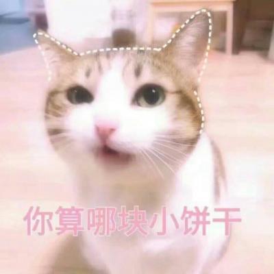 Cute Cat Funny Character Avatar 2021 Latest Version Perhaps Suitable More Important than Liking