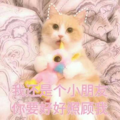 Cute Cat Funny Character Avatar 2021 Latest Version Perhaps Suitable More Important than Liking