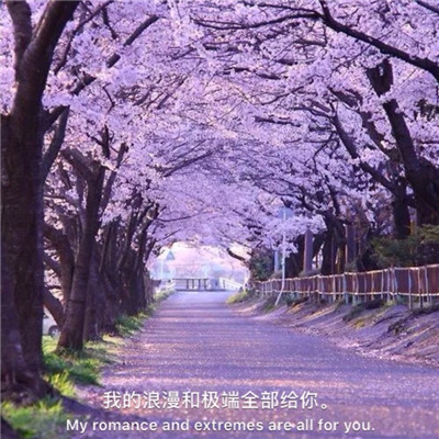 2021 Scenery Portrait with Words, Beautiful Artistic Conception, Old Man Has Died, Long Road Ahead