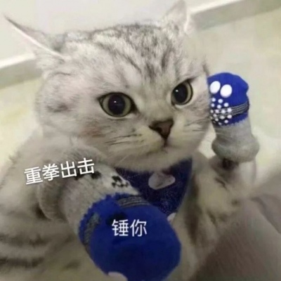 WeChat Cat Avatar Cute Complete Collection with Words Waiting for One You Waiting for One Love