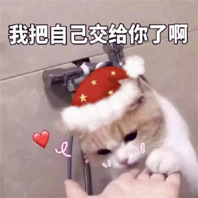 A set of cute and silly WeChat avatars with words for Christmas. Tonight, I am your Christmas gift