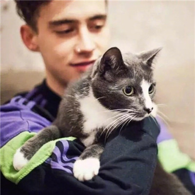 QQ personalized avatar boy hugging cat series cute and cute cat avatar boy version