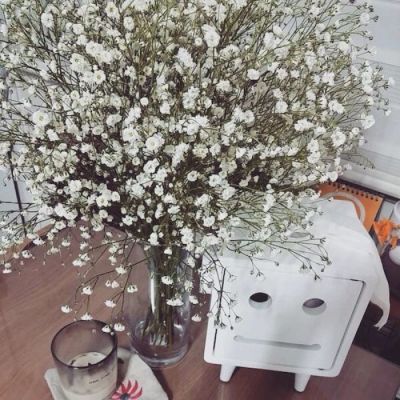 High-definition beautiful landscape avatar of gypsophila bouquet. Pretending to receive a bouquet of flowers for Christmas