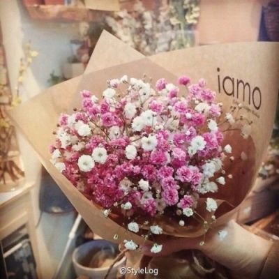 High-definition beautiful landscape avatar of gypsophila bouquet. Pretending to receive a bouquet of flowers for Christmas