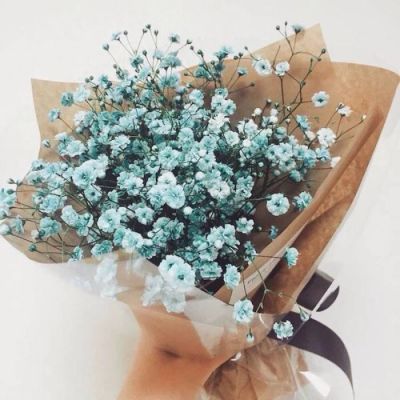 High-definition beautiful landscape avatar of gypsophila bouquet. Pretending to receive a bouquet of flowers for Christmas