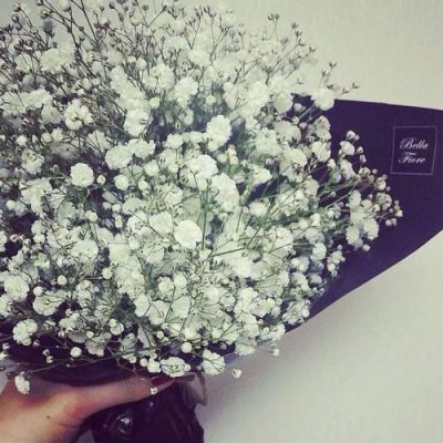 High-definition beautiful landscape avatar of gypsophila bouquet. Pretending to receive a bouquet of flowers for Christmas