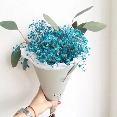 High-definition beautiful landscape avatar of gypsophila bouquet. Pretending to receive a bouquet of flowers for Christmas