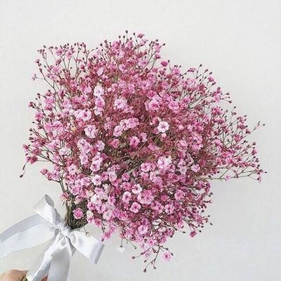 High-definition beautiful landscape avatar of gypsophila bouquet. Pretending to receive a bouquet of flowers for Christmas