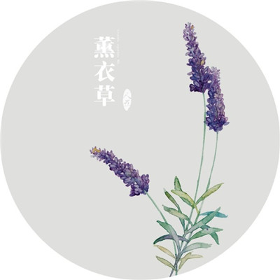 Beautiful and artistic lavender QQ avatar 2021 selection of sad tunes composed by lavender