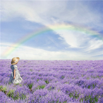 Beautiful and artistic lavender QQ avatar 2021 selection of sad tunes composed by lavender