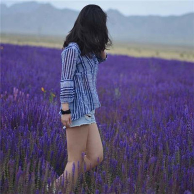 Beautiful and artistic lavender QQ avatar 2021 selection of sad tunes composed by lavender