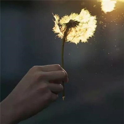 Dandelion avatar 2021 pictures are beautiful and artistic. You look like my next boyfriend.