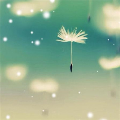 Dandelion avatar 2021 pictures are beautiful and artistic. You look like my next boyfriend.