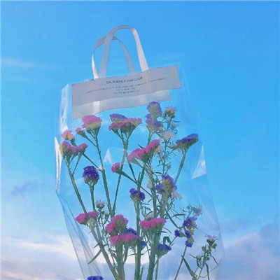 2021 WeChat avatar with beautiful scenery or flowers and plants. A sunny WeChat scenery avatar.