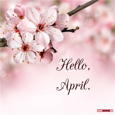 Hello April WeChat Moments Pictures and Avatars 2021 Please be nice to me in April