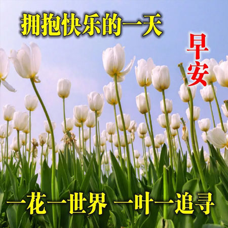 图片素材-早上好最新图片带字的祝福语 2021最新版早上好祝福图片(7)