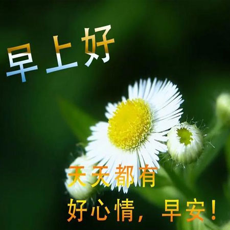 图片素材-早上好最新图片带字的祝福语 2021最新版早上好祝福图片(4)