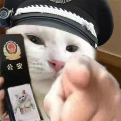 A complete collection of funny expressions of the kitty policeman. Dont come close, you will go to jail.