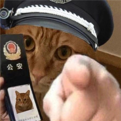 A complete collection of funny expressions of the kitty policeman. Dont come close, you will go to jail.