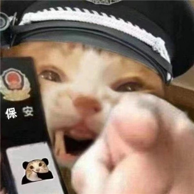 A complete collection of funny expressions of the kitty policeman. Dont come close, you will go to jail.