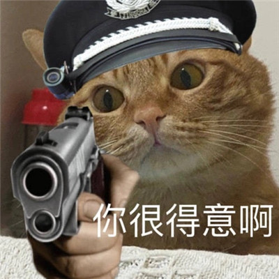 A complete collection of funny expressions of the kitty policeman. Dont come close, you will go to jail.