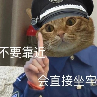 A complete collection of funny expressions of the kitty policeman. Dont come close, you will go to jail.